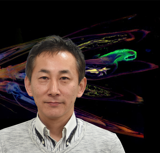 田中 栄爾